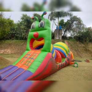 Centopéia Inflável 2,80L X 9C X 4,30A